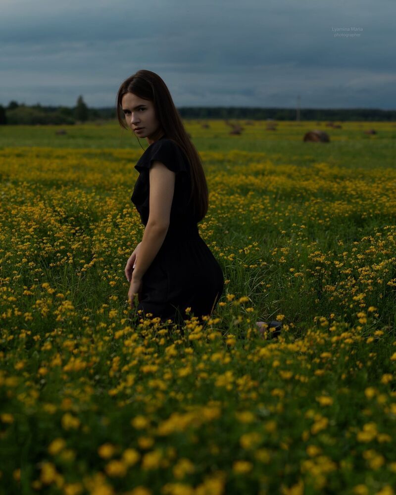 Photo 2231350
