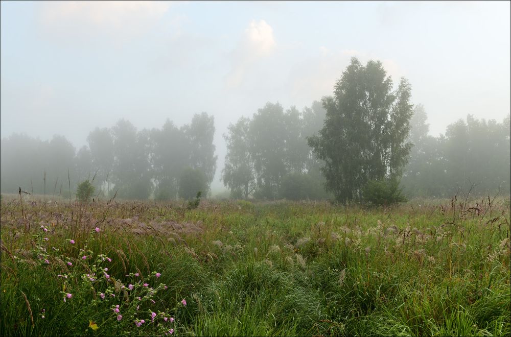 Красивое утро