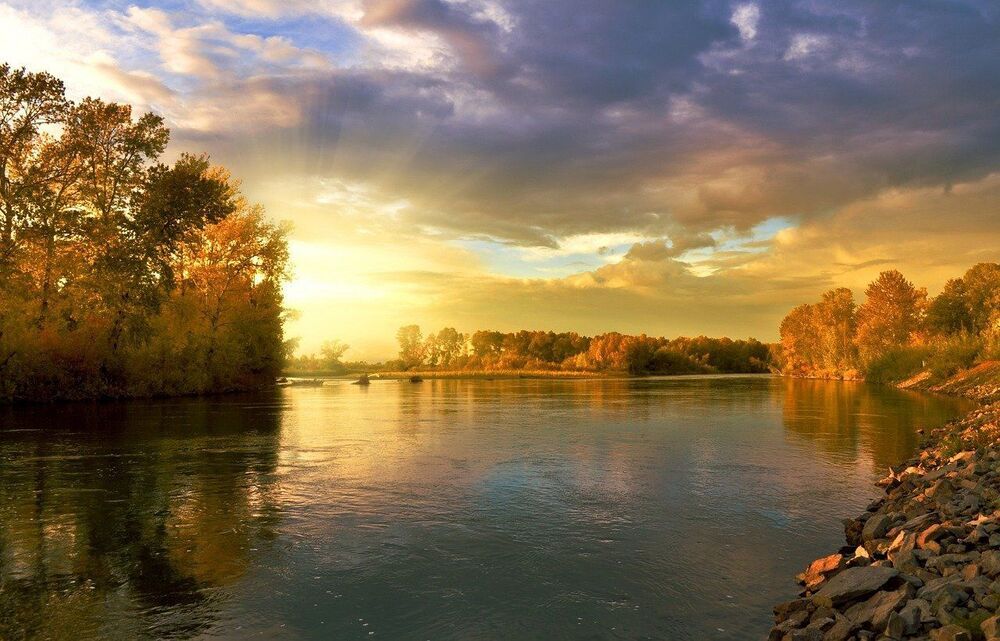 Landscapes