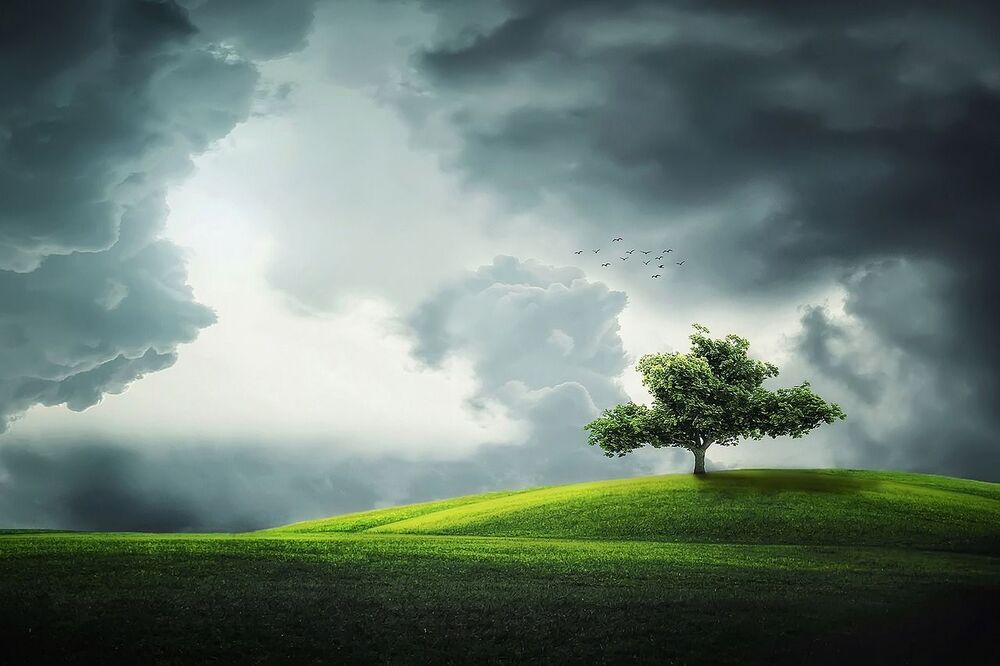 Landscapes