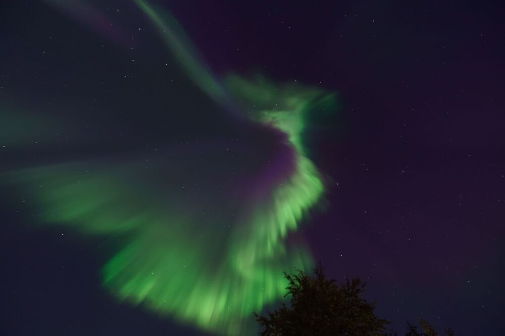 Корона Aurora Borealis