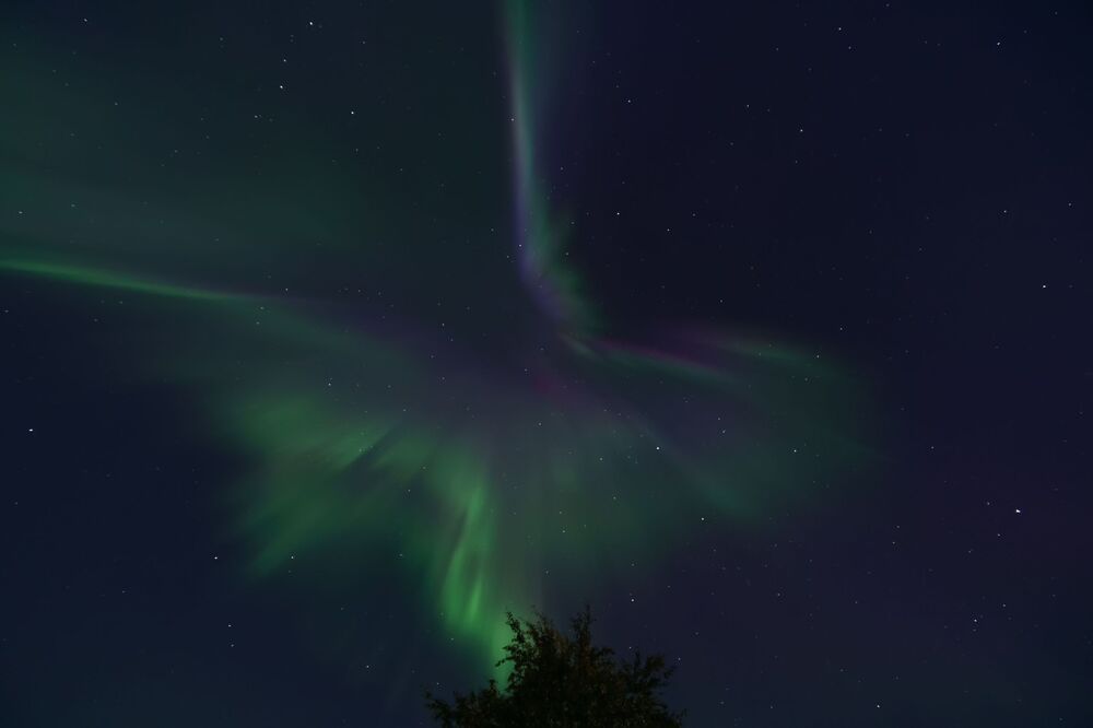 Корона Aurora Borealis