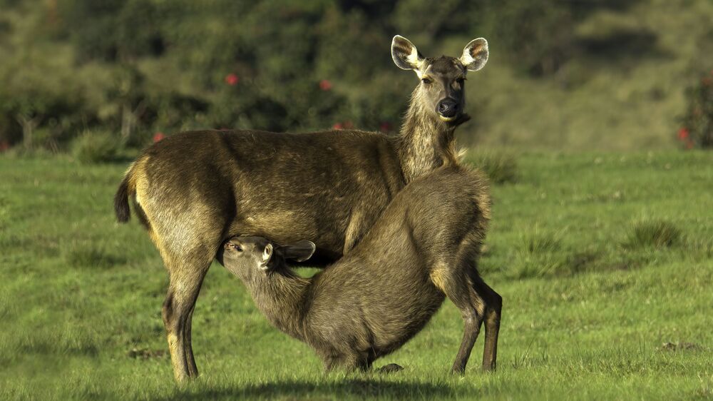 Photo 2234970
