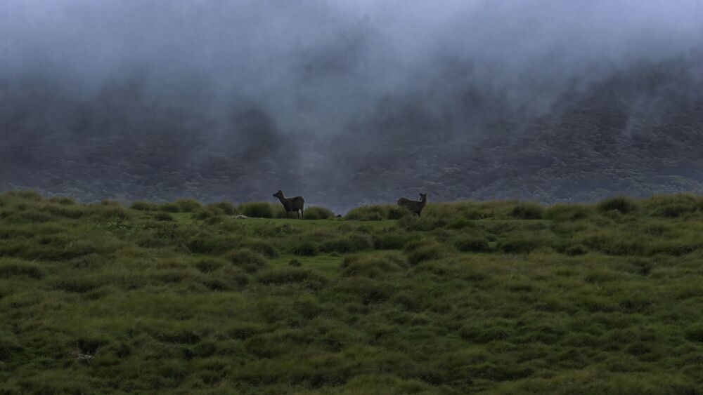 Photo 2234971