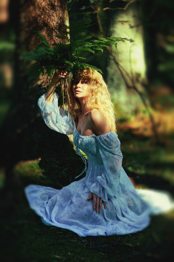 Photo 2236740