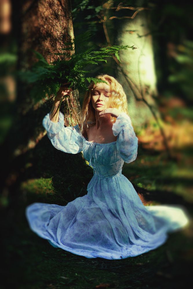 Photo 2236741
