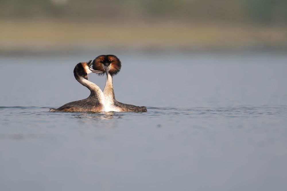 Photo 2237868