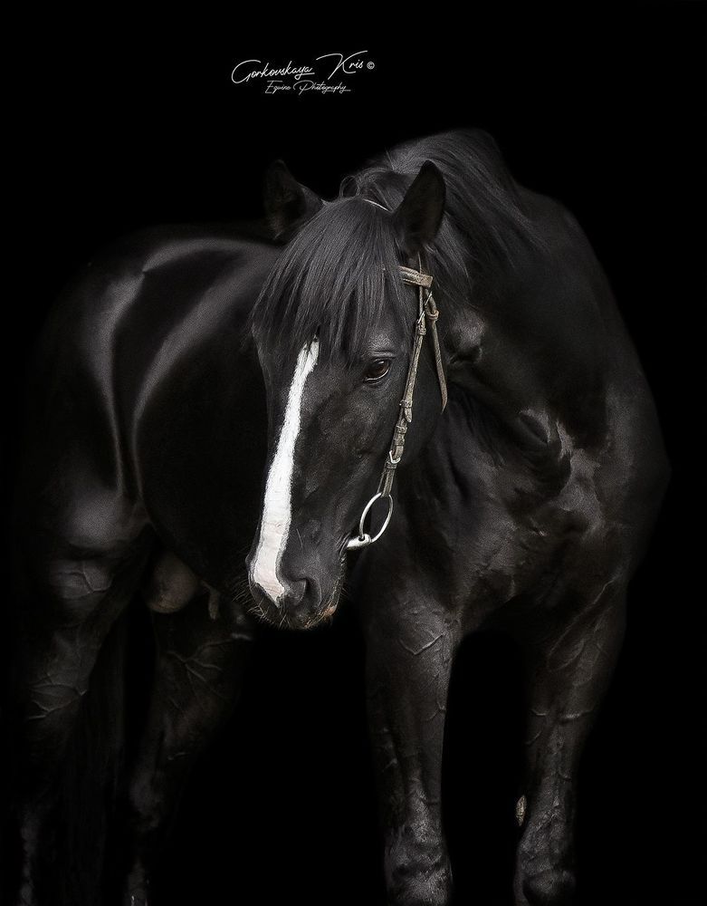 Black background