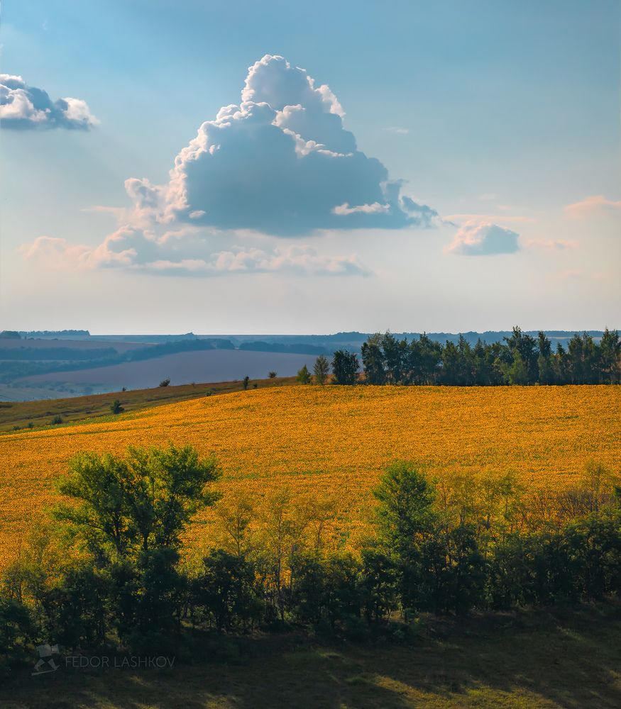 Жаркое лето