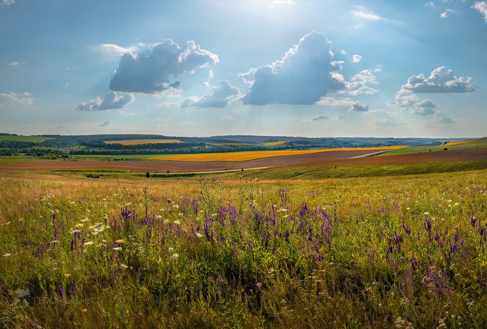 Жаркое лето
