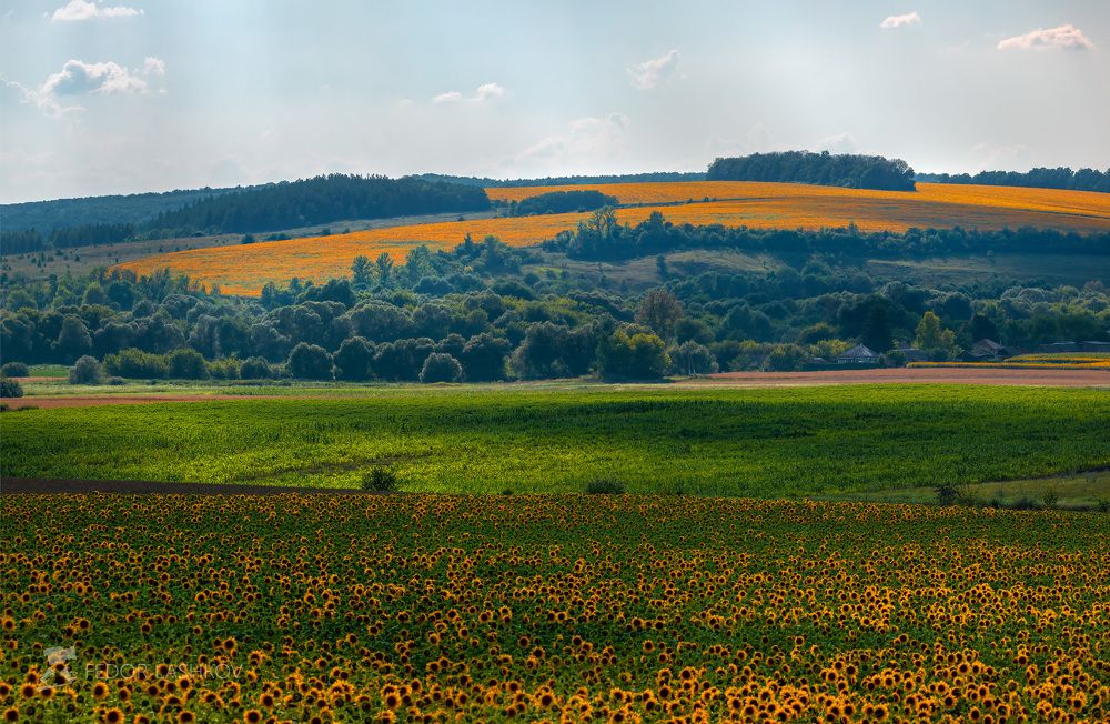 Жаркое лето