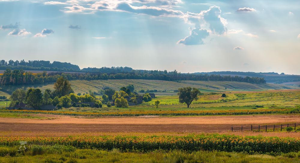 Жаркое лето