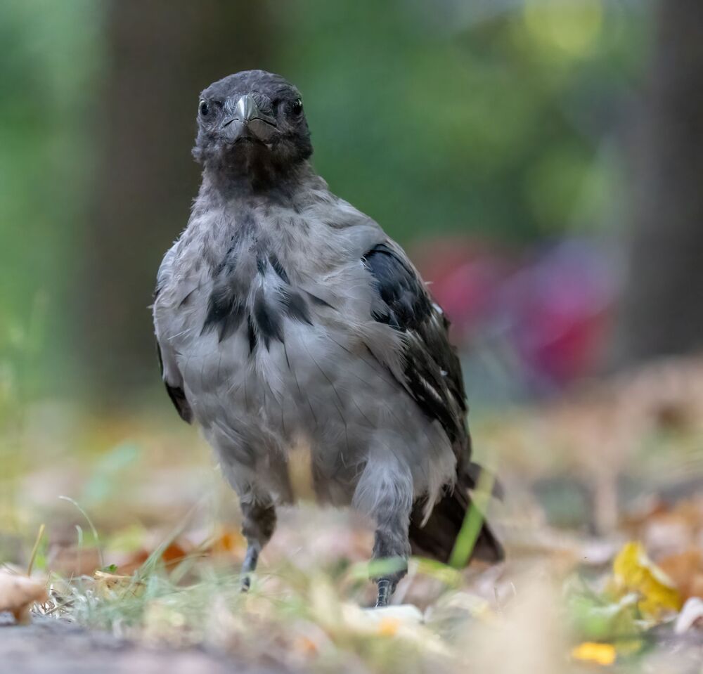 Молодежь