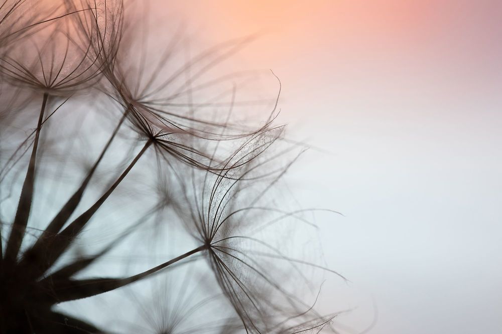Photo 2240792