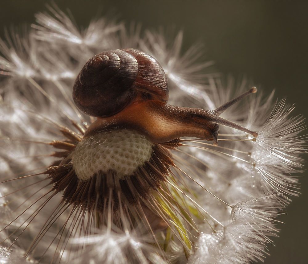Photo 2240794