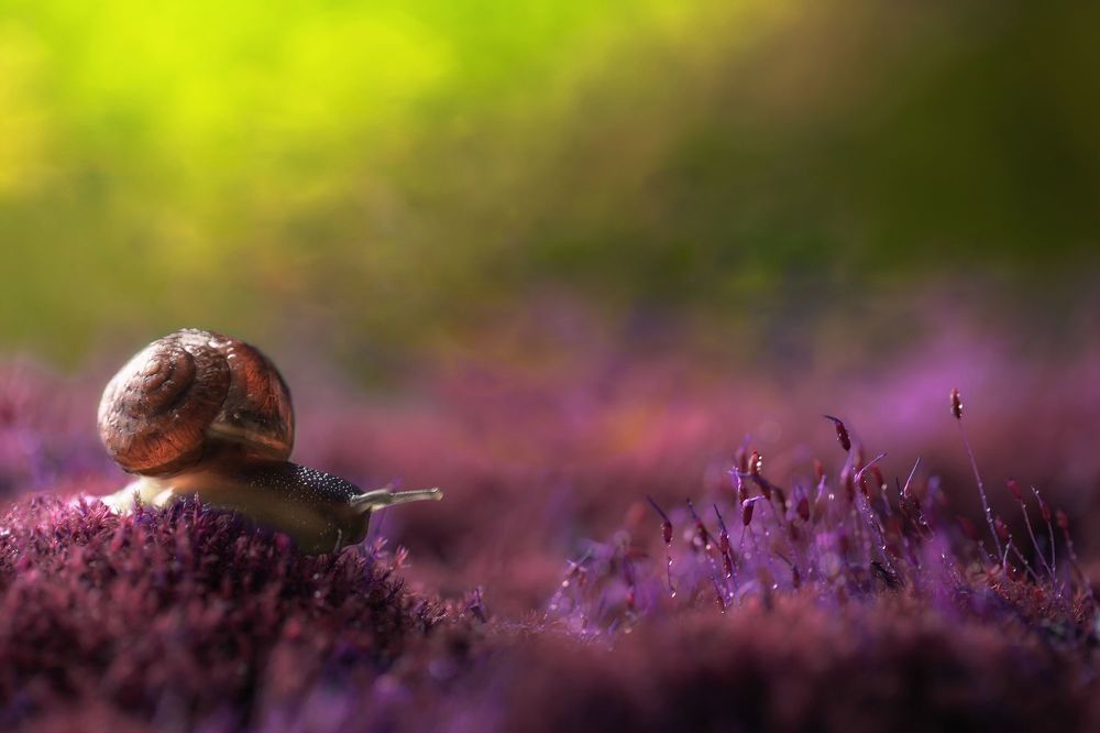 Photo 2240795