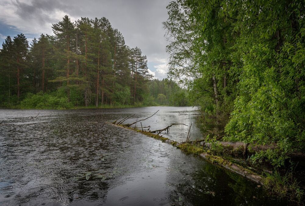 Photo 2241393