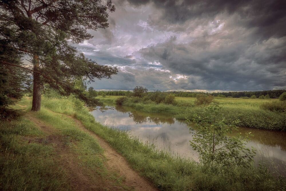 Photo 2241397