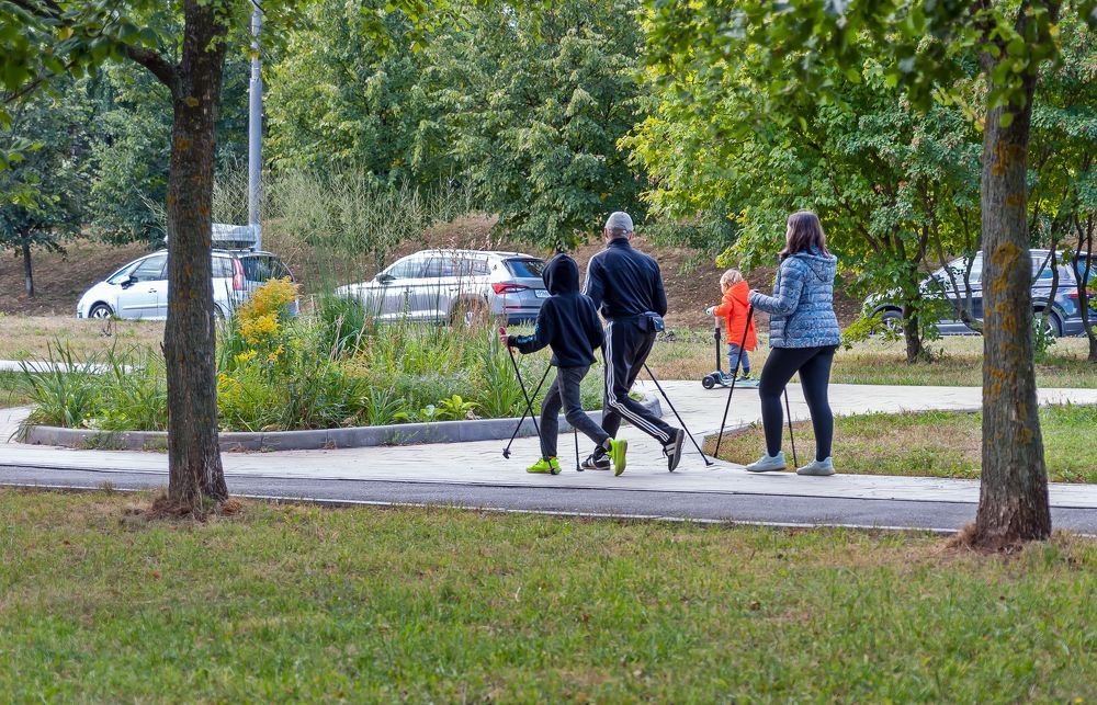 В городском осеннем парке
