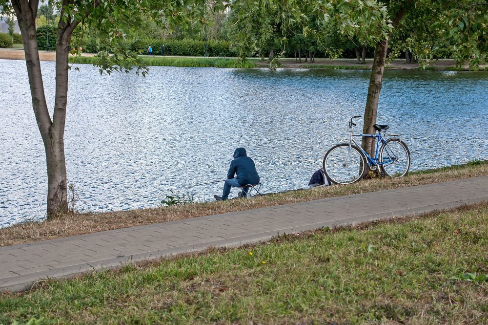 В городском осеннем парке