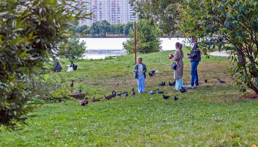 В городском осеннем парке