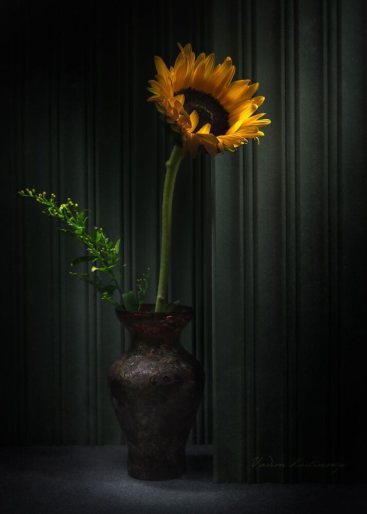 from the series "Lines, Leaves & Flowers"