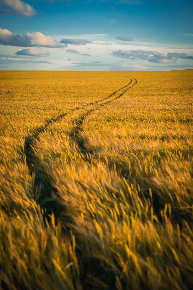 Природа Урала