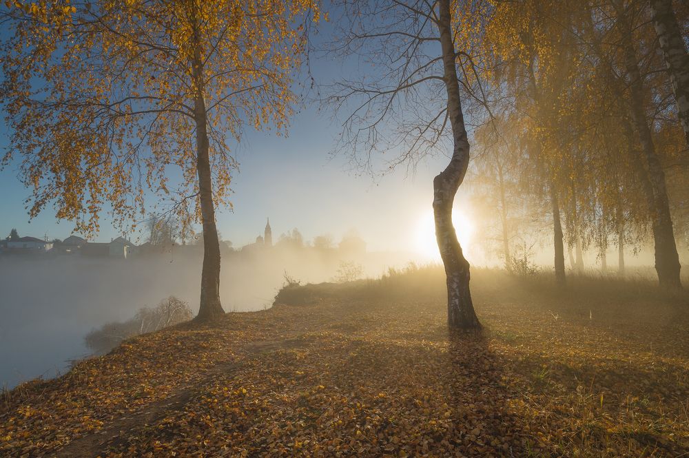 Времена года