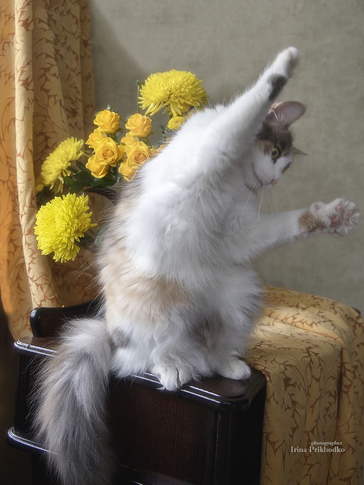 Утренняя гимнастика