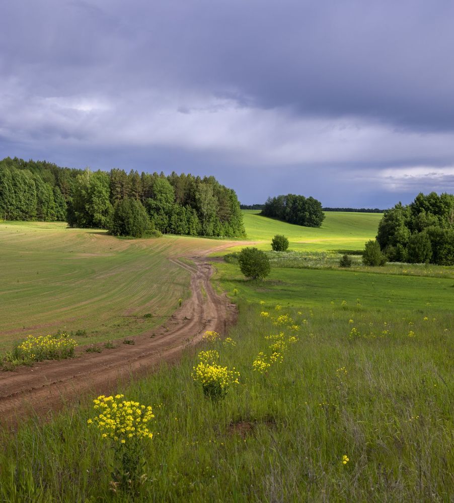 Photo 2247292