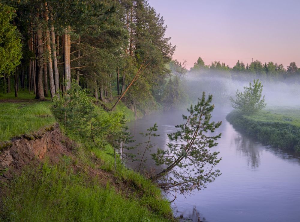 Photo 2247294