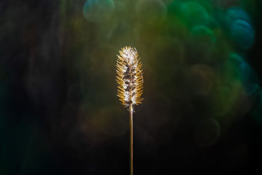 Photo 2247984