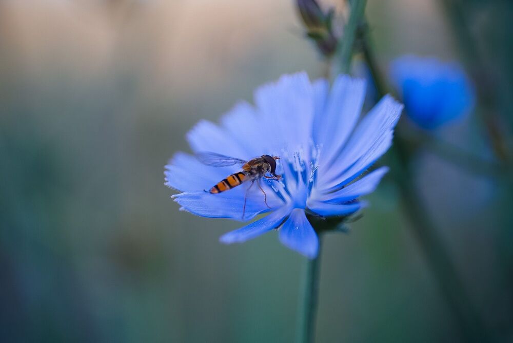 Photo 2247986