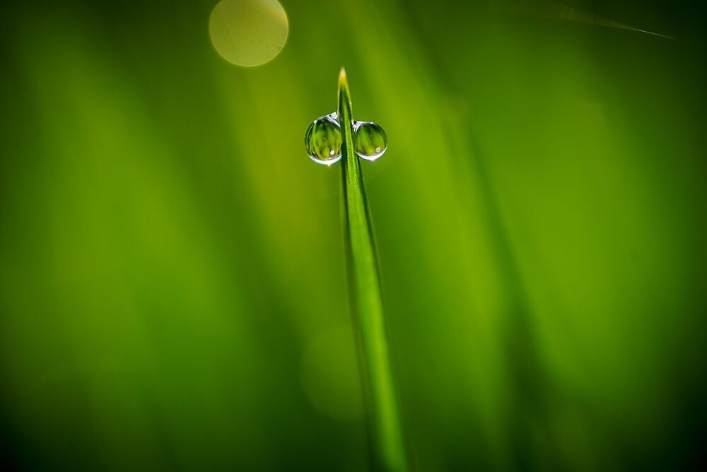 Photo 2247990