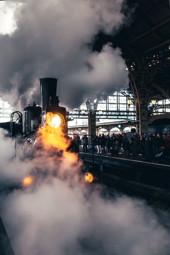 Steam life
