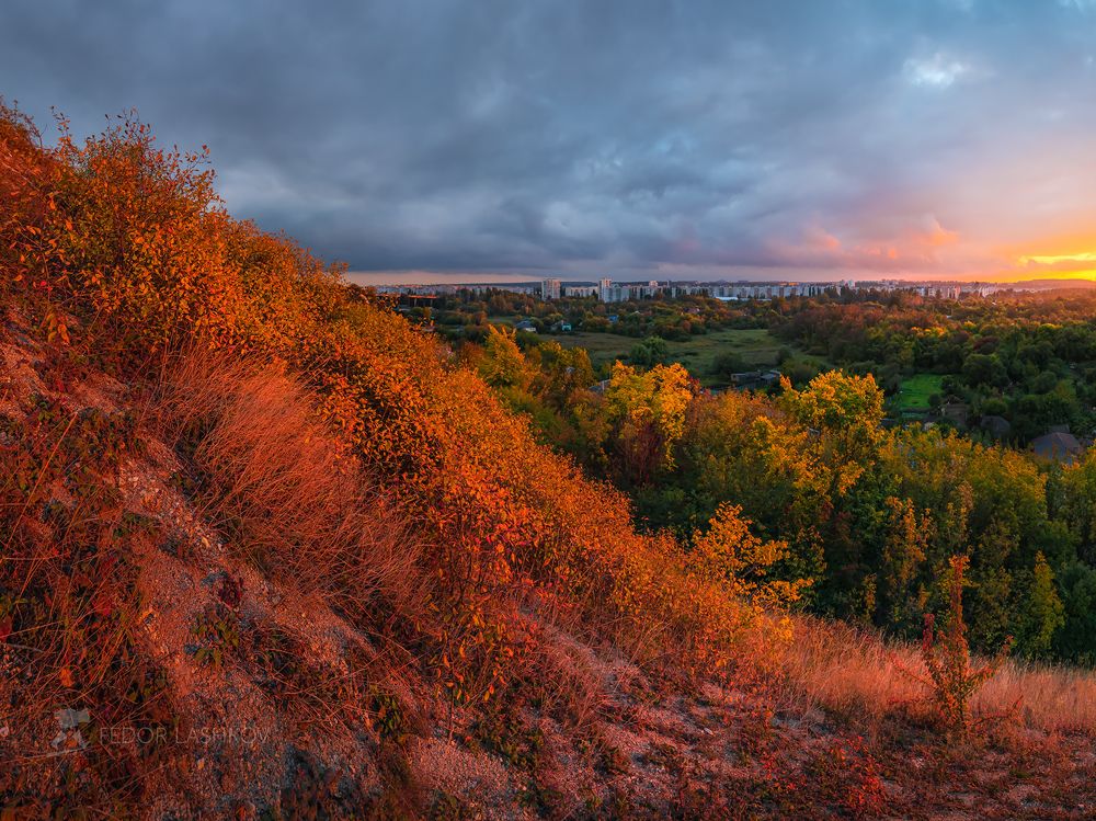 Осенний тёрн на закате