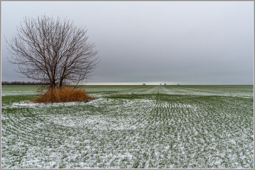Photo 2249197