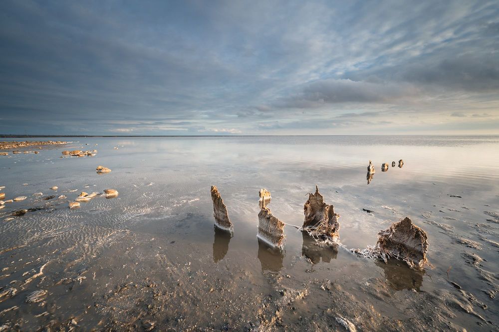 10 фотографий из портфолио Бабурина Олега.