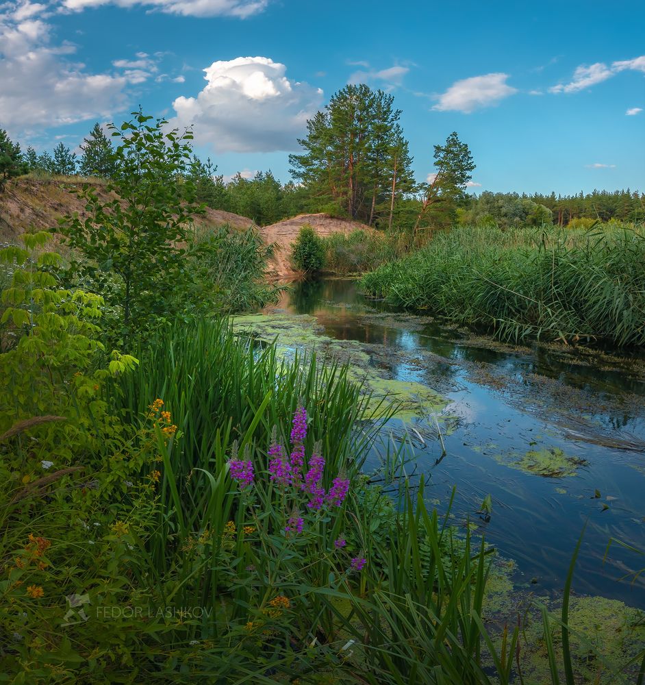 Река Потудань