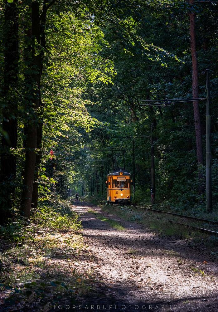 The yellow tram