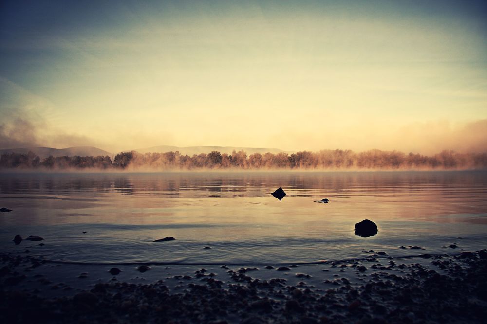 Foggy morning on the Danube