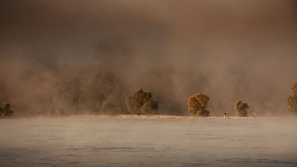 Foggy morning on the Danube