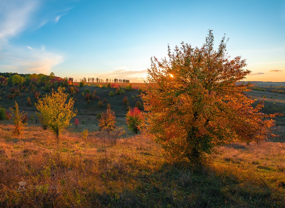 Осень в степной балке