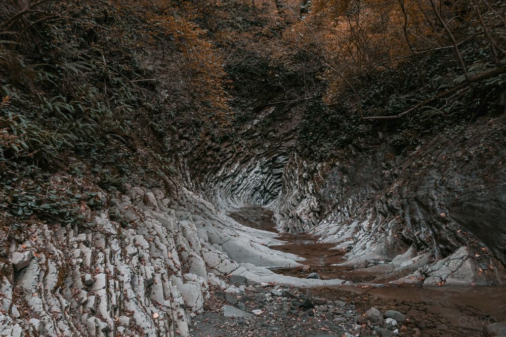 Photo 2251859