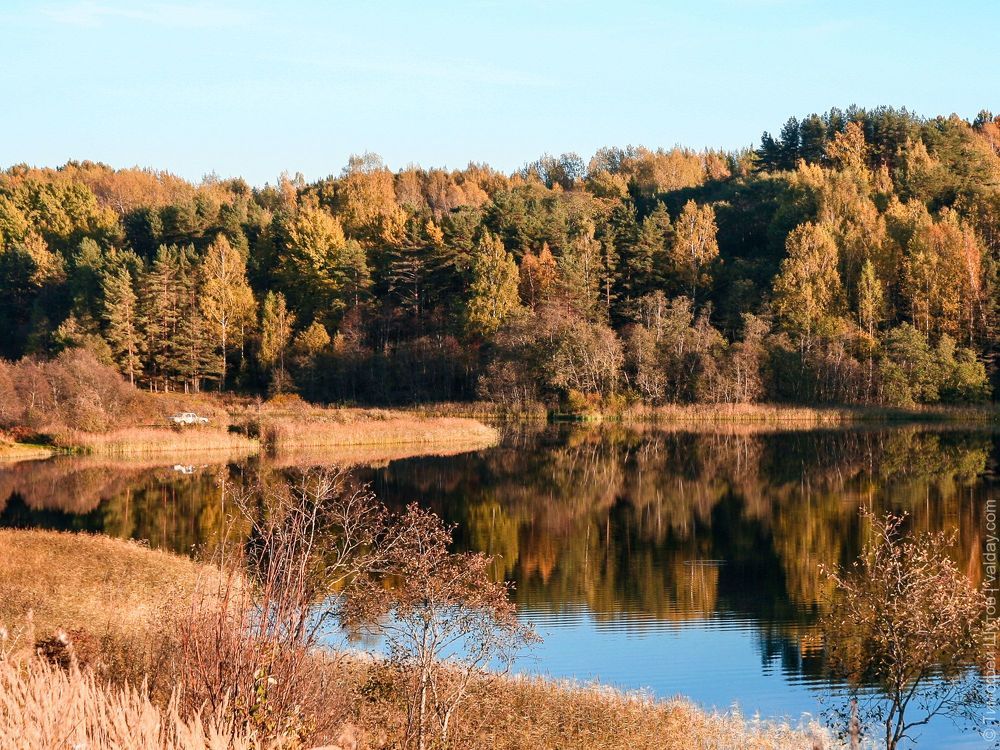 Зеркала
