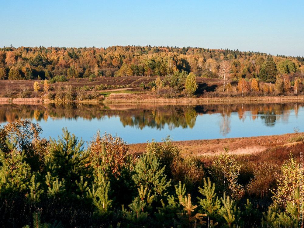 Зеркала