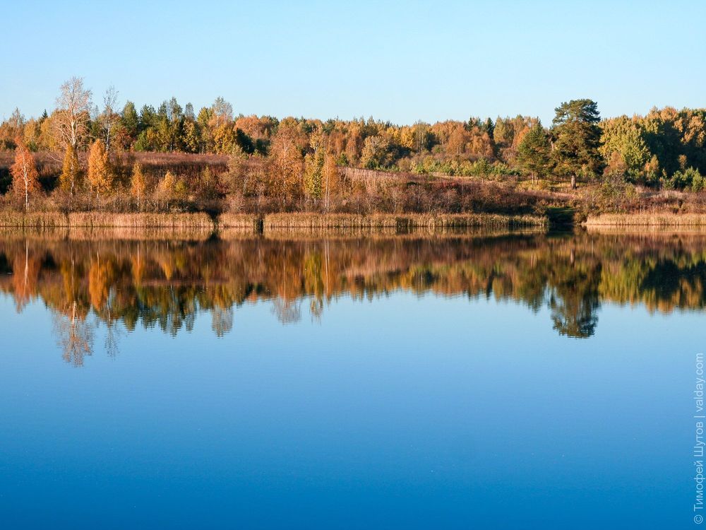 Зеркала