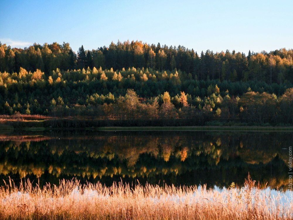 Зеркала