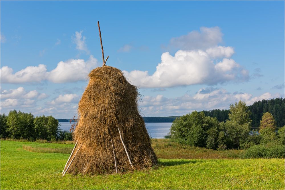 День в Зехново