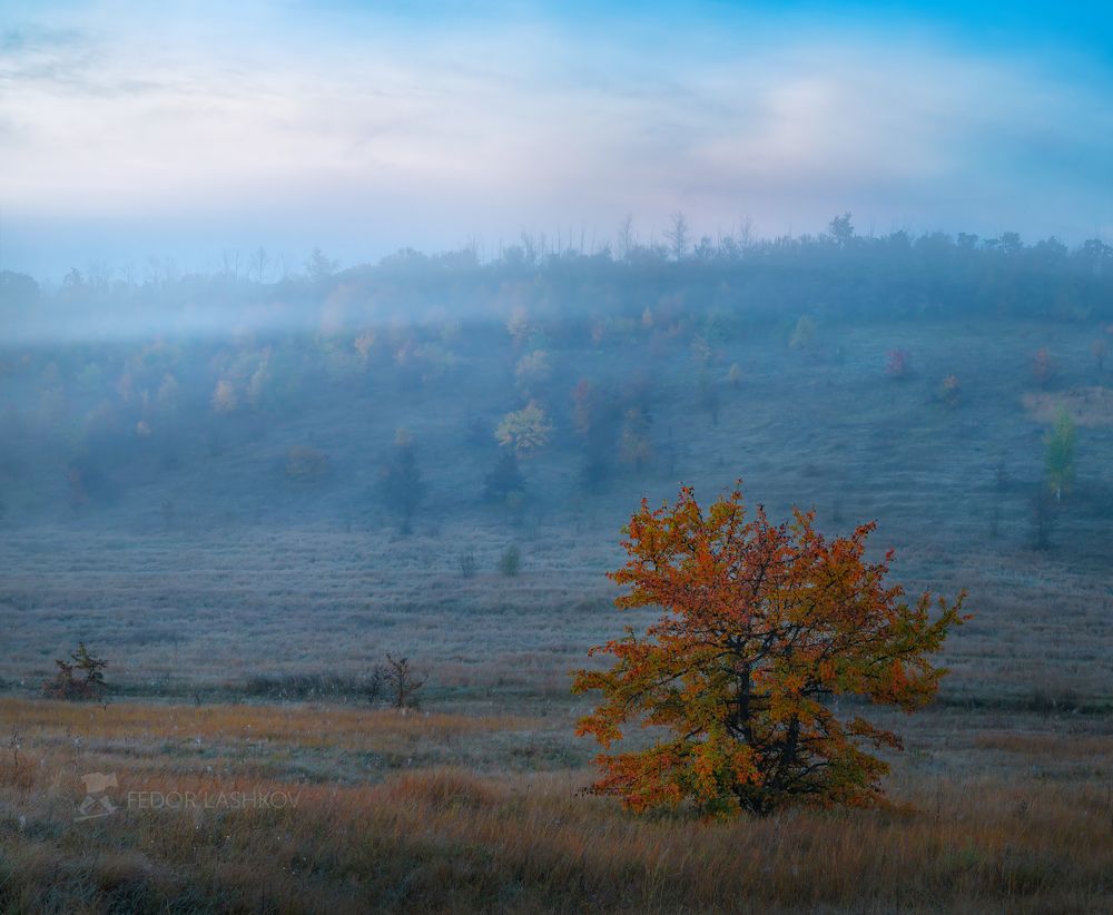 Акварели осени